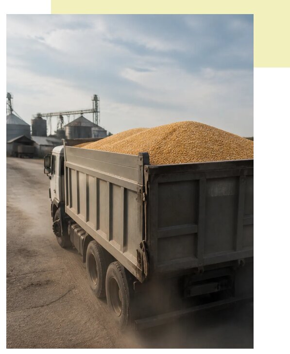 Перевозка сельхозпродукции навалом в Обнинск по цене от 3045 р. | Агросервис-Бнн