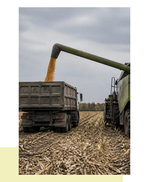 Перевозка урожая с поля в Обнинск с доставкой точно в срок